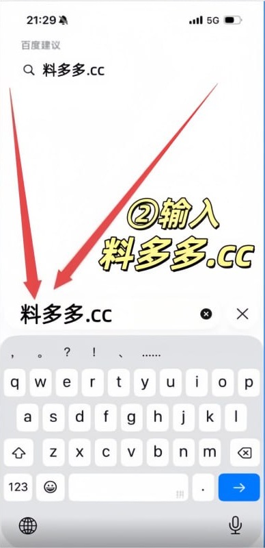 在 Safari 输入料多多网址