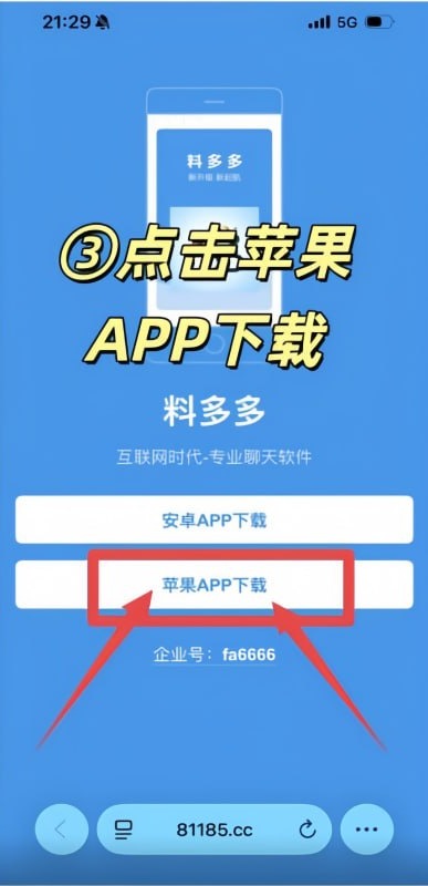 点击苹果 APP 下载